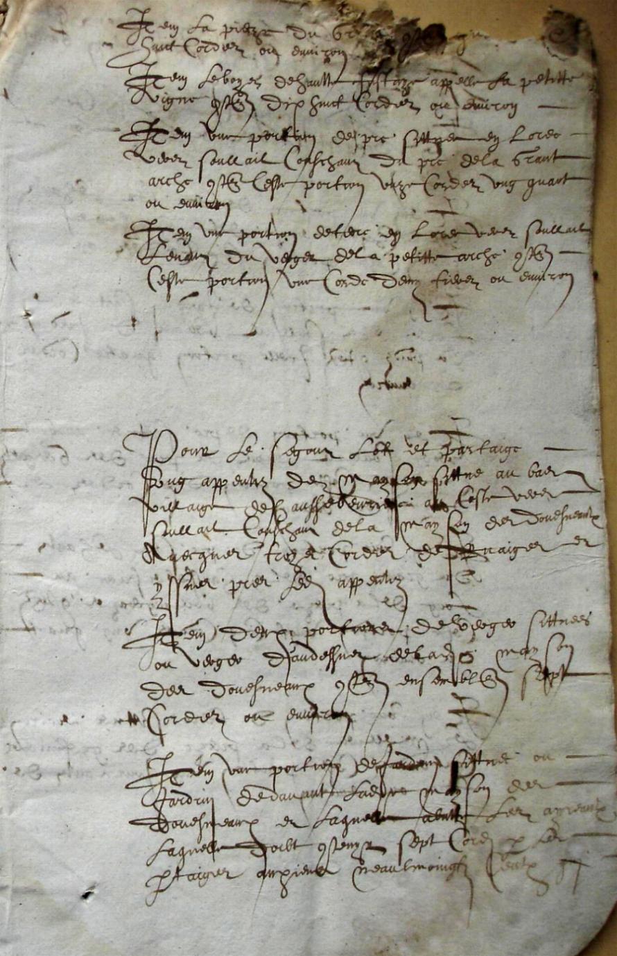 Cohon-G_1615 (5).JPG